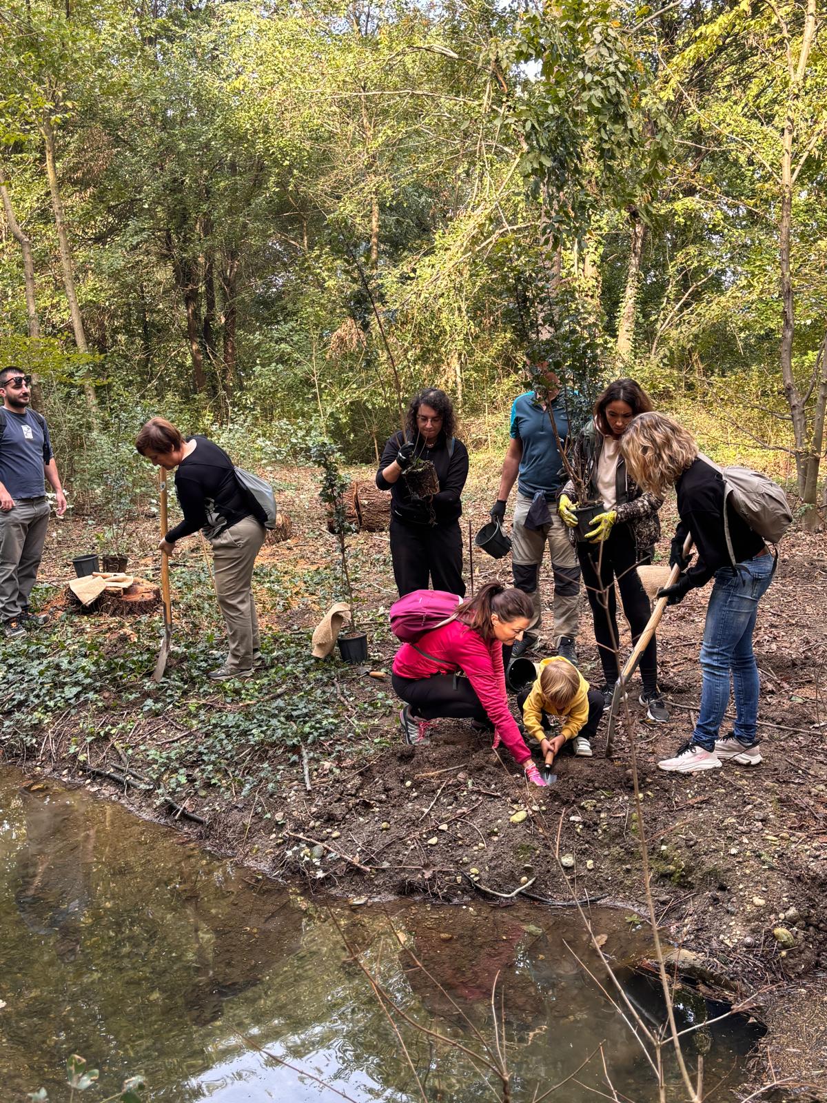 Families planting trees beside a water channel